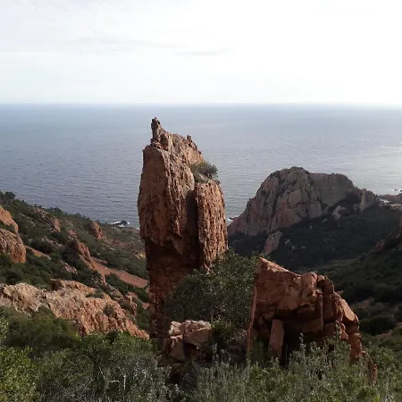 Mediterranee Paradise Daire *